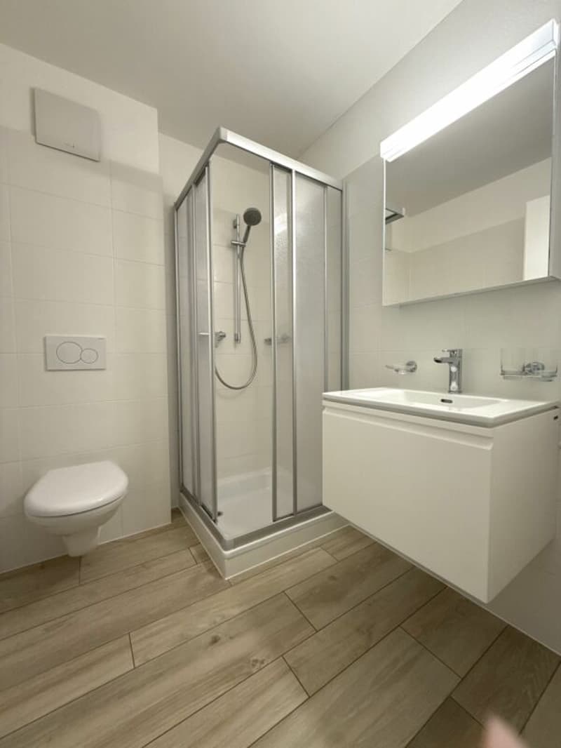 Zweitwohnsitz, 4,5-Zimmer-Wohnung in der Nähe von Ascona (6)