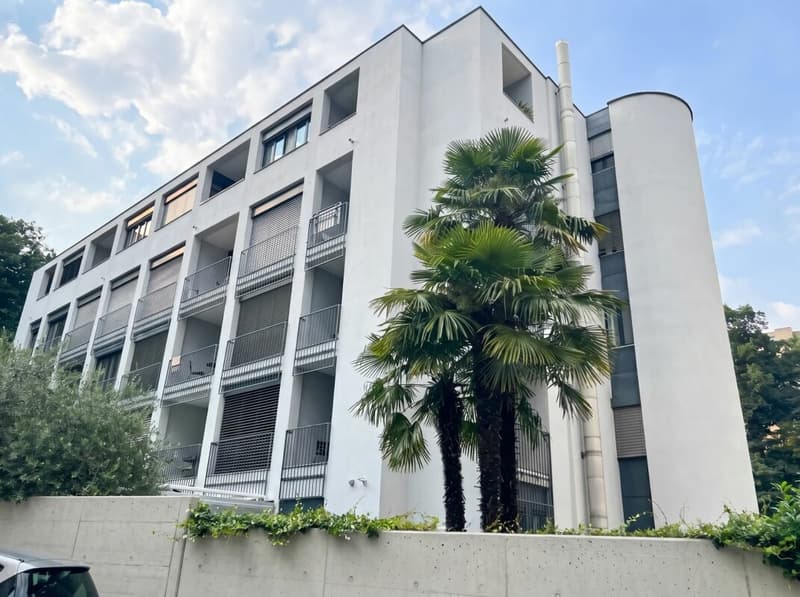 2.5 locali di reddito Lugano città (1)