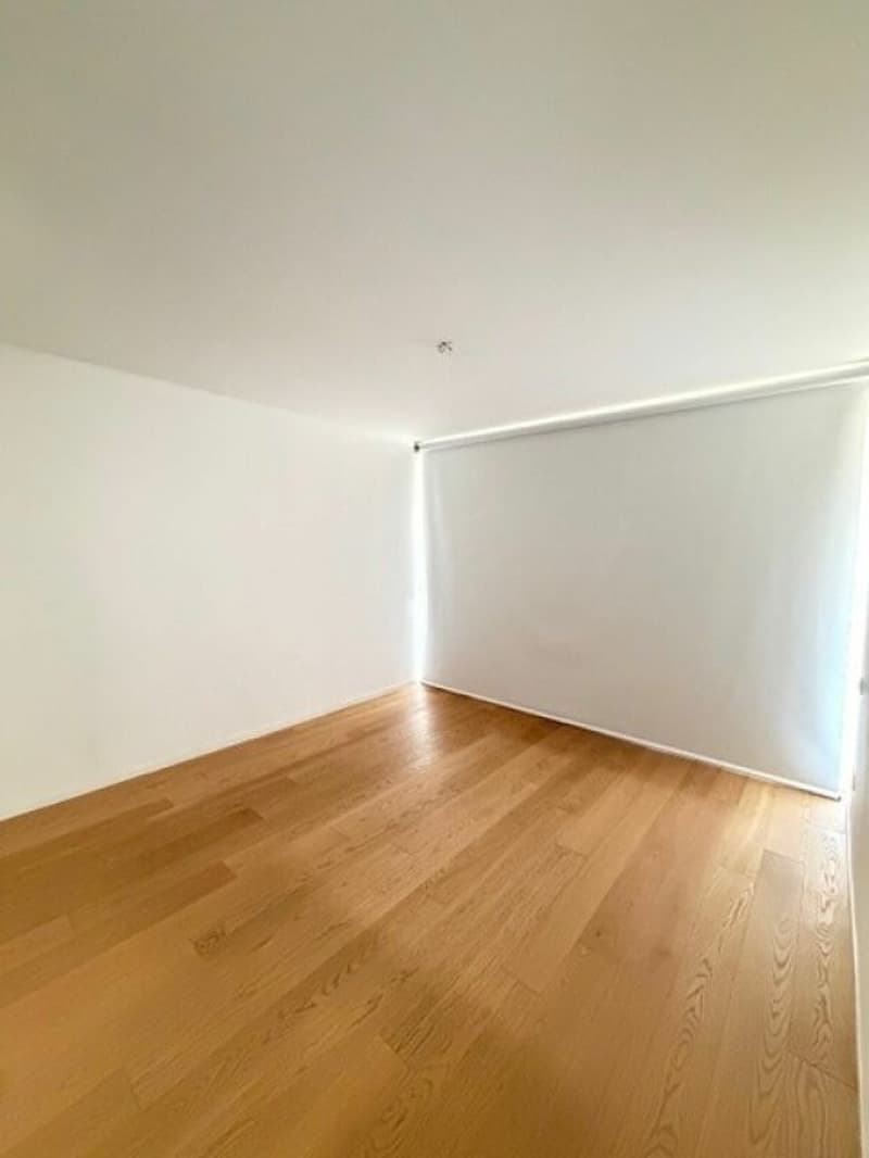 2.5 locali a Taverne nuova costruzione (5)