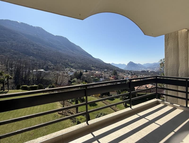Cadro magnifico 3.5 locali - 2° residenza (9)