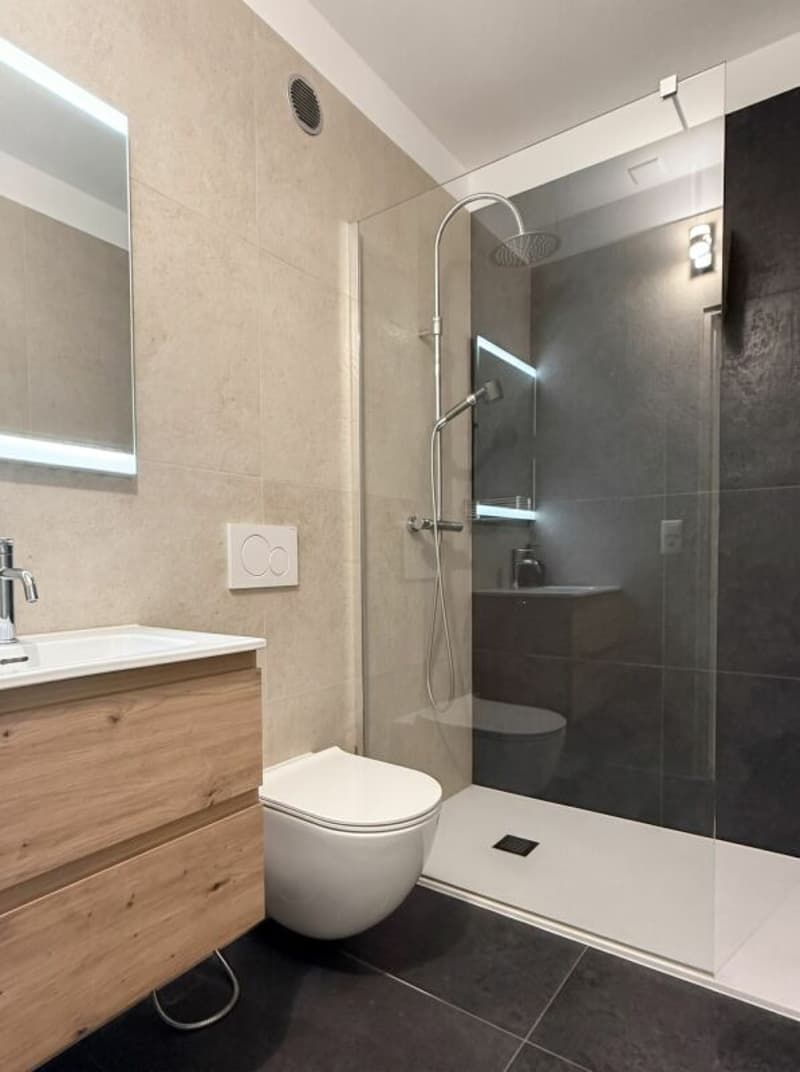 Cadro magnifico 3.5 locali - 2° residenza (7)