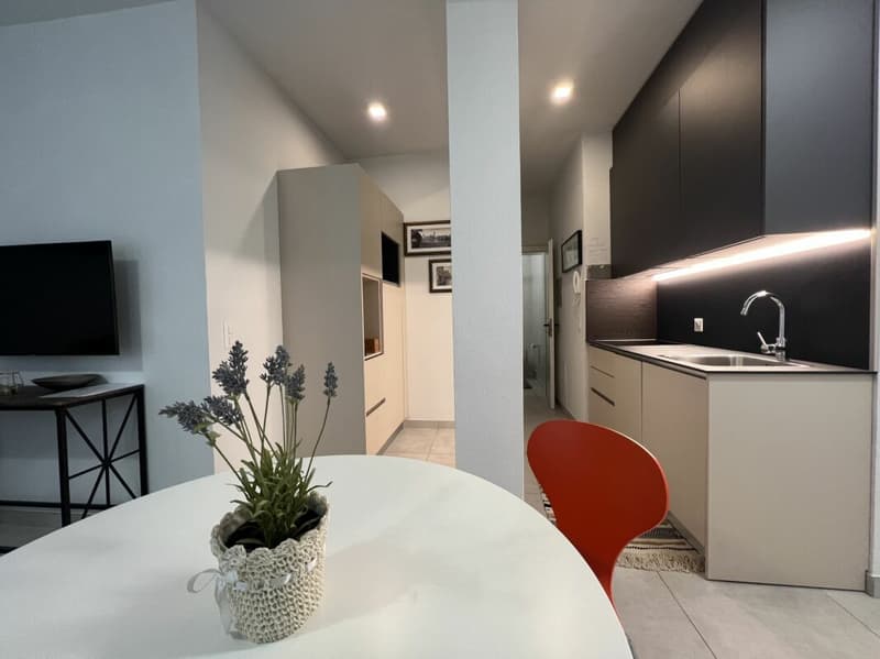 Monolocale arredato Lugano (7)