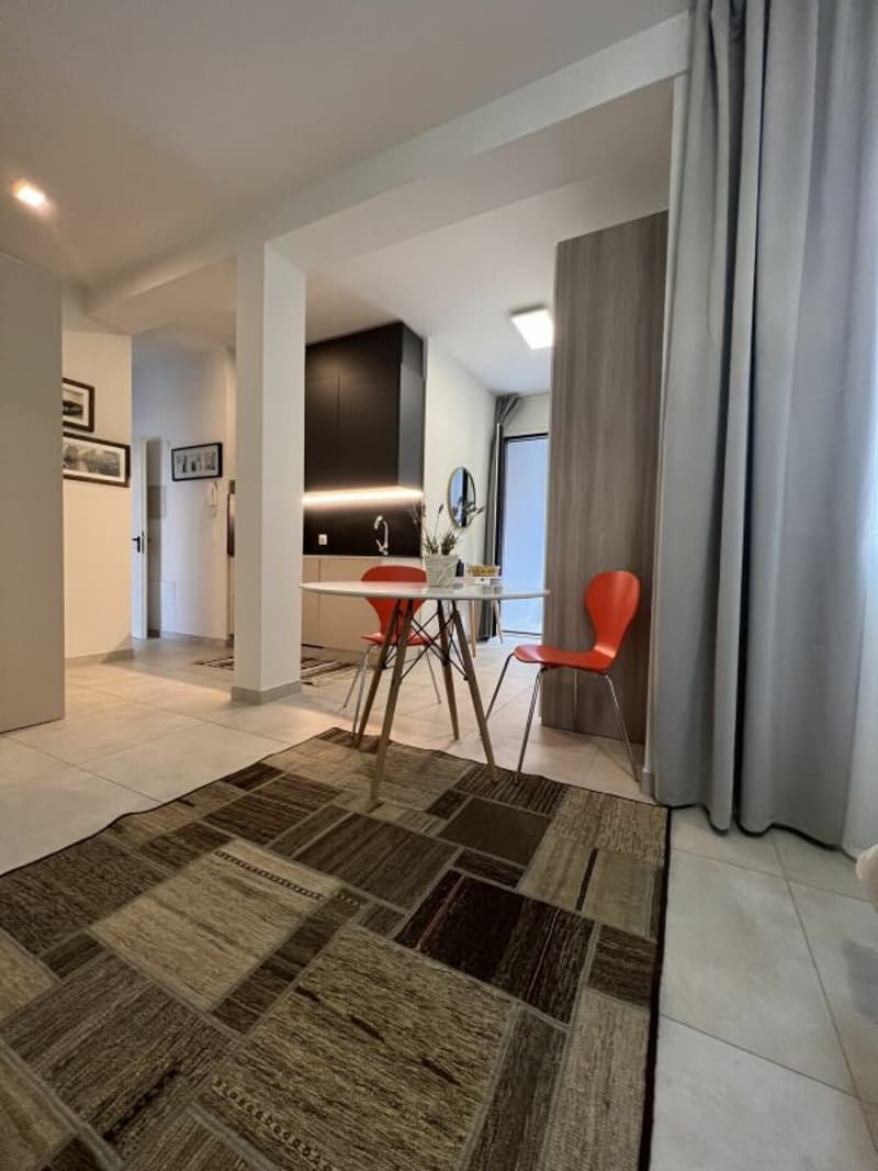 Monolocale arredato Lugano (4)