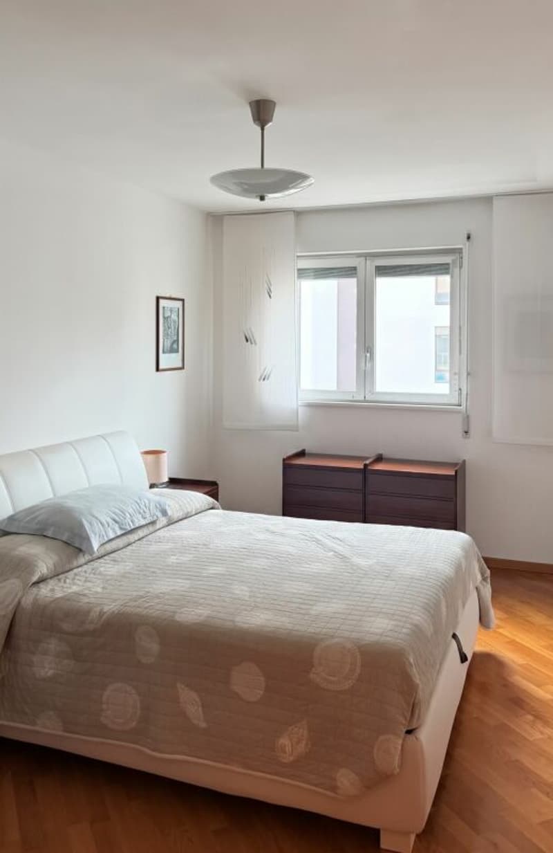 3.5 locali nella residenza di prestigio Lugano Viganello (6)