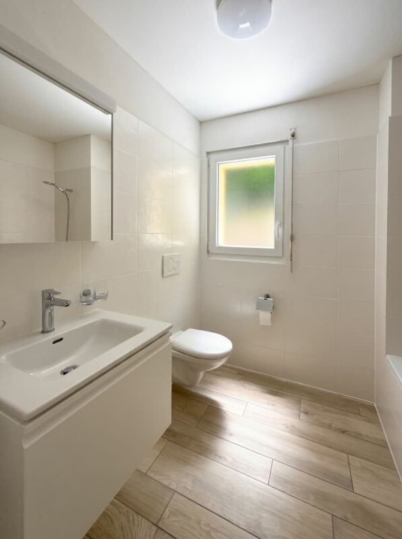 Zweitwohnung: 4.5 mit Garten inmitten der Natur, unweit des Lago Maggiore, Ascona (7)