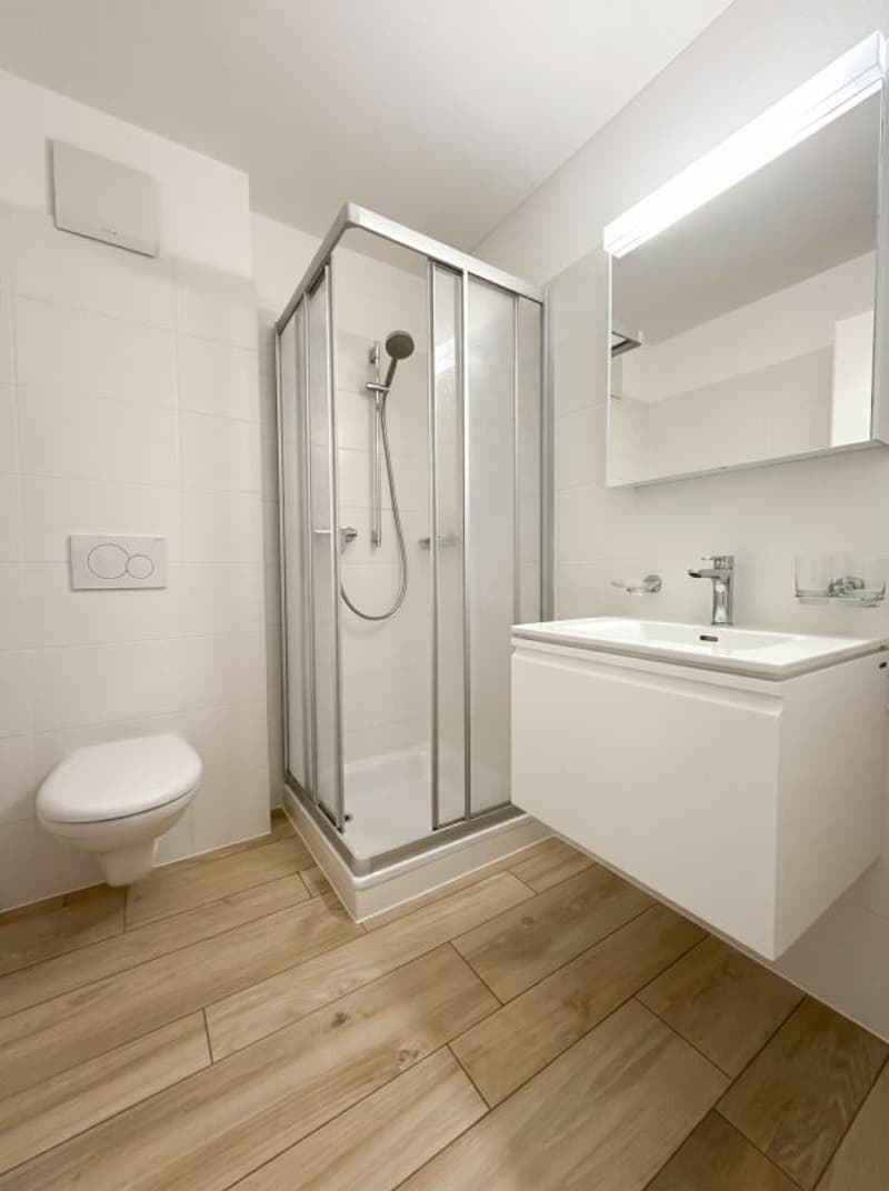 Zweitwohnung: 4.5 mit Garten inmitten der Natur, unweit des Lago Maggiore, Ascona (6)