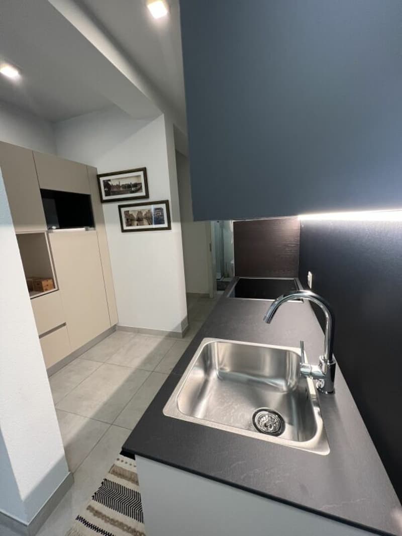 Monolocale arredato Lugano dal 1.02.2027 (8)