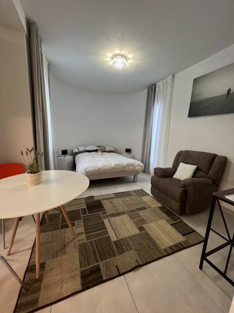 Monolocale arredato Lugano dal 1.02.2027 (3)