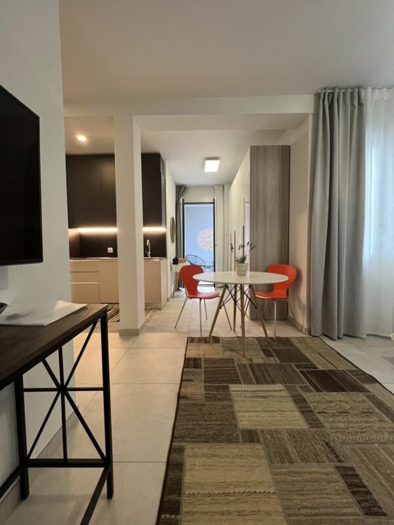 Monolocale arredato Lugano dal 1.02.2027 (1)