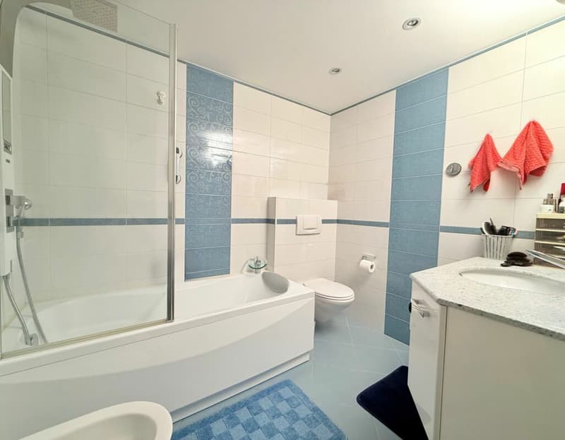 Ampio 3.5 locali con terrazza - posizione privilegiata a Bellinzona (8)