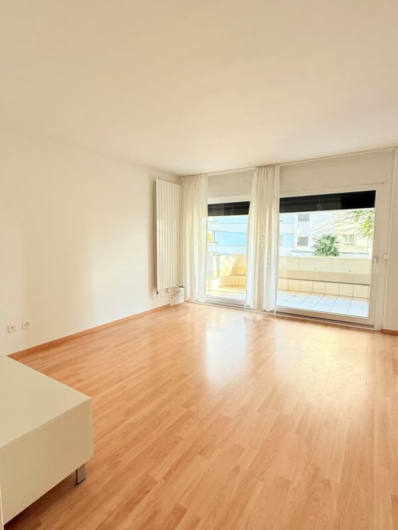 3.5 locali Coldrerio (4)