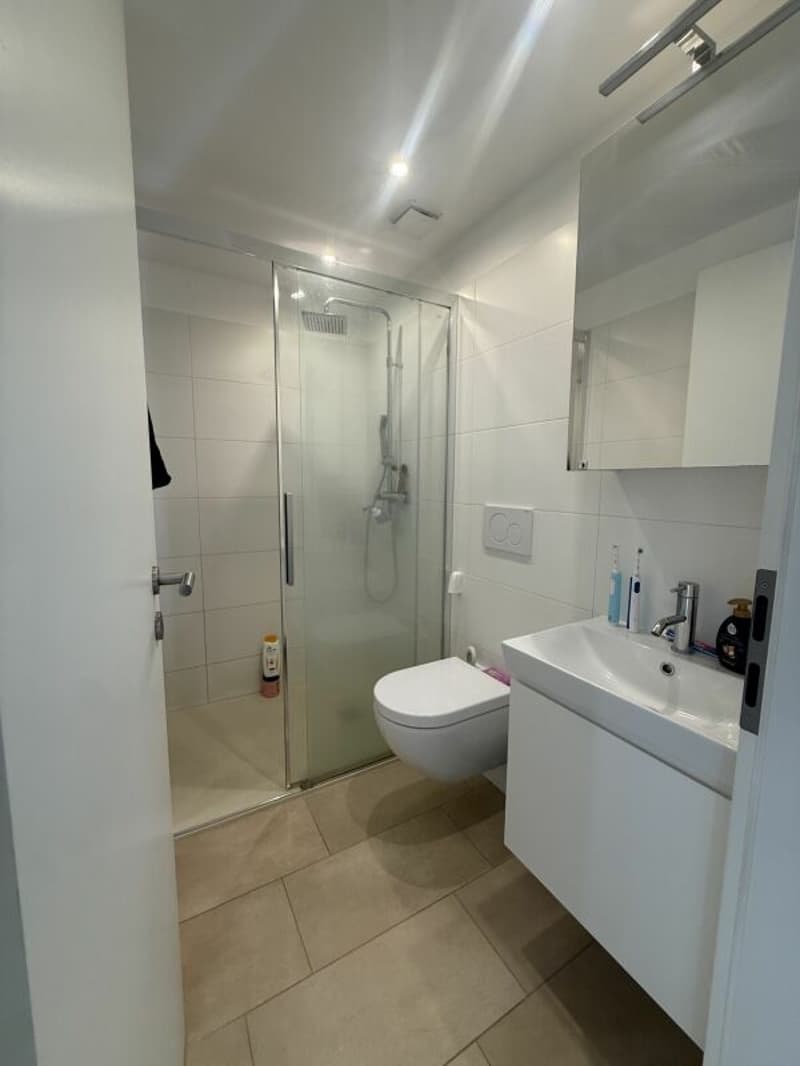 Moderno 3.5 locali ad Arbedo (6)