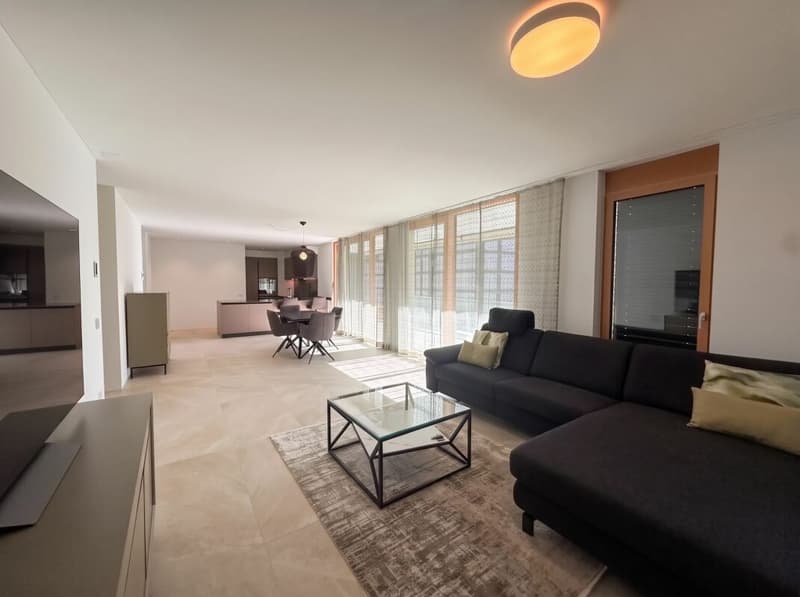 Comfort e modernità in un elegante 3.5 locali - Minusio (2)