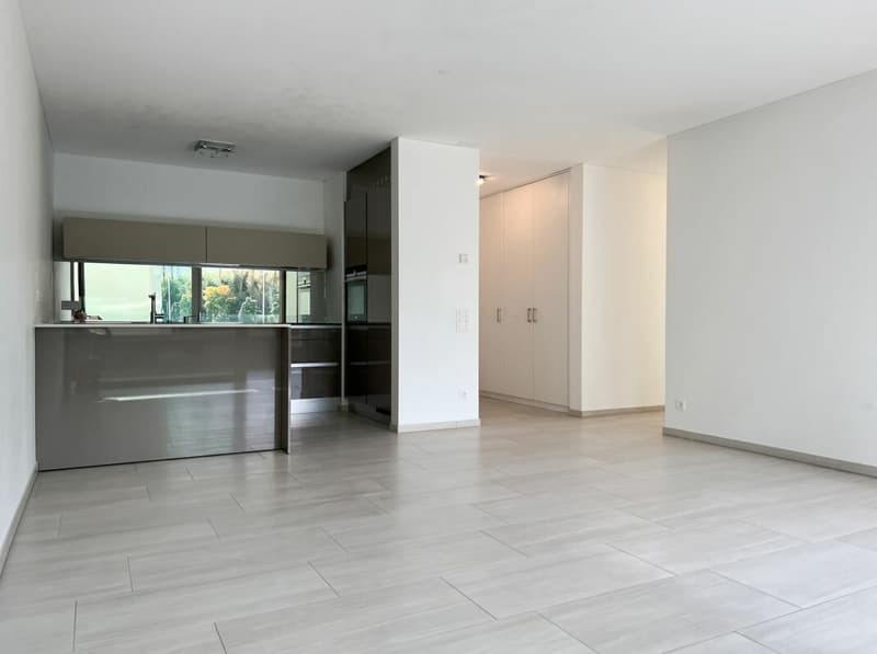 Locarno esclusivo 3.5 locali con spaziosa terrazza (2)