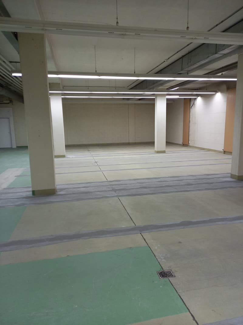 LUGANO - AFFITTASI ARCHIVIO DI 500 MQ (1)