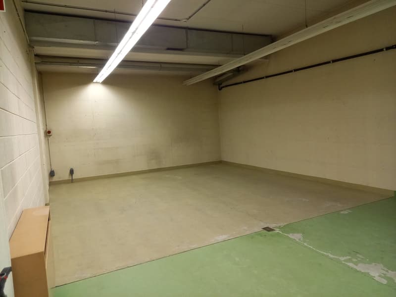 LUGANO - AFFITTASI ARCHIVIO DI 500 MQ (4)