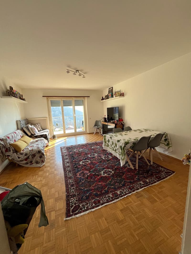wooden floor, white walls, glass doors, couch, dining table with chairs, large rug, shelves with picture frames