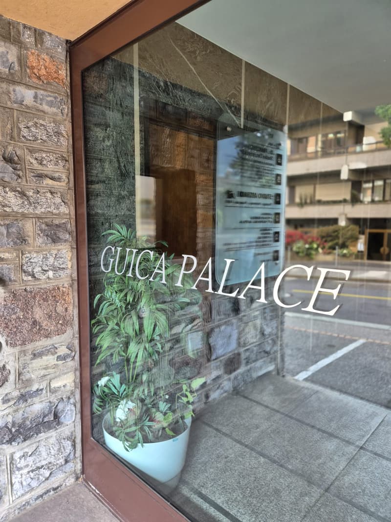 LUGANO CENTER - 4.5 ROOM OFFICE FOR RENT (2)