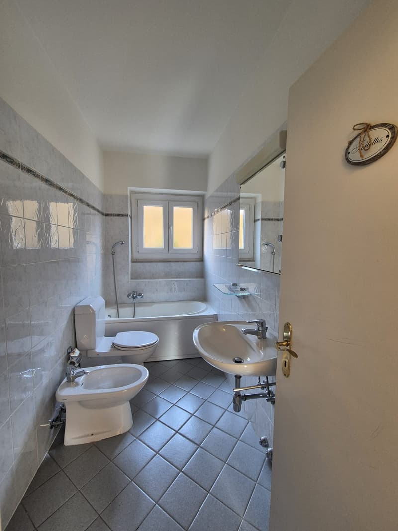 LUGANO CENTER - 4.5 ROOM OFFICE FOR RENT (8)