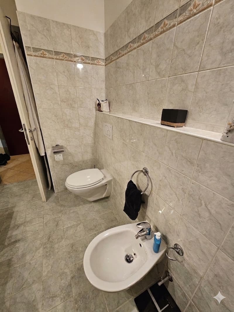 AGNO - 2-ZIMMER-WOHNUNG ZU VERMIETEN (6)
