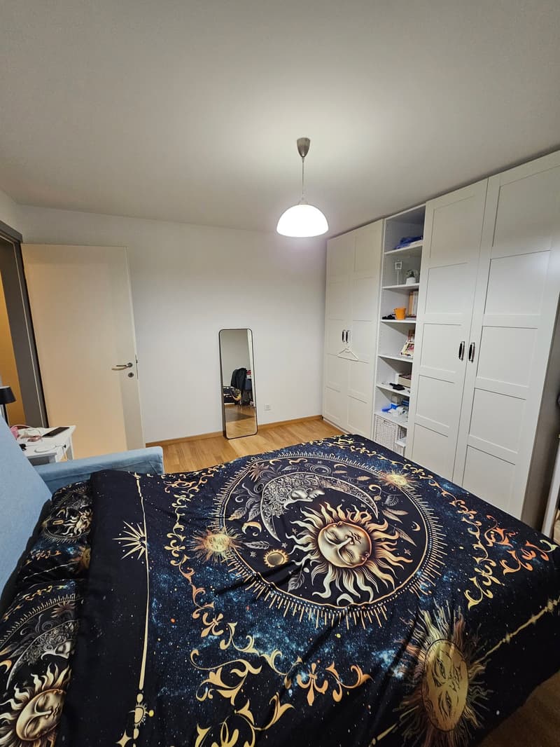 AGNO - 2-ZIMMER-WOHNUNG ZU VERMIETEN (4)