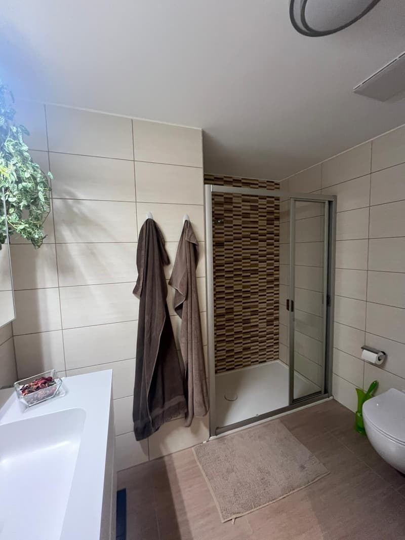 BOSCO LUGANESE - 4.5 room apartment for rent (8)