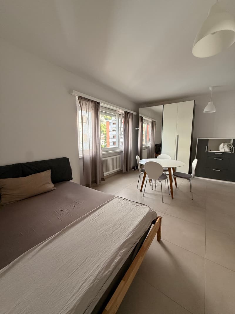 LUGANO - bright studio apartment for rent (2)