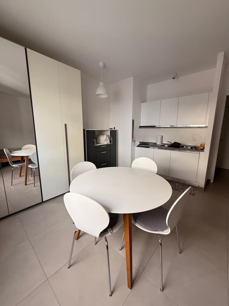LUGANO - bright studio apartment for rent (4)