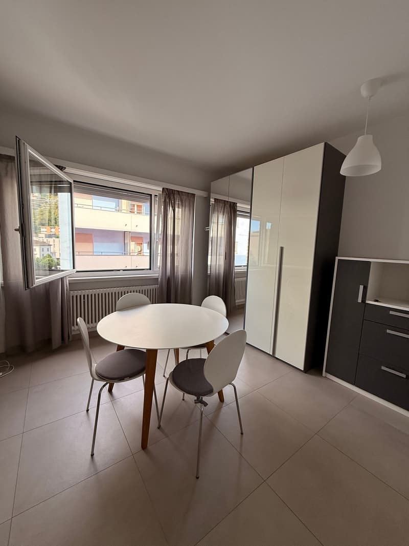 LUGANO - bright studio apartment for rent (3)