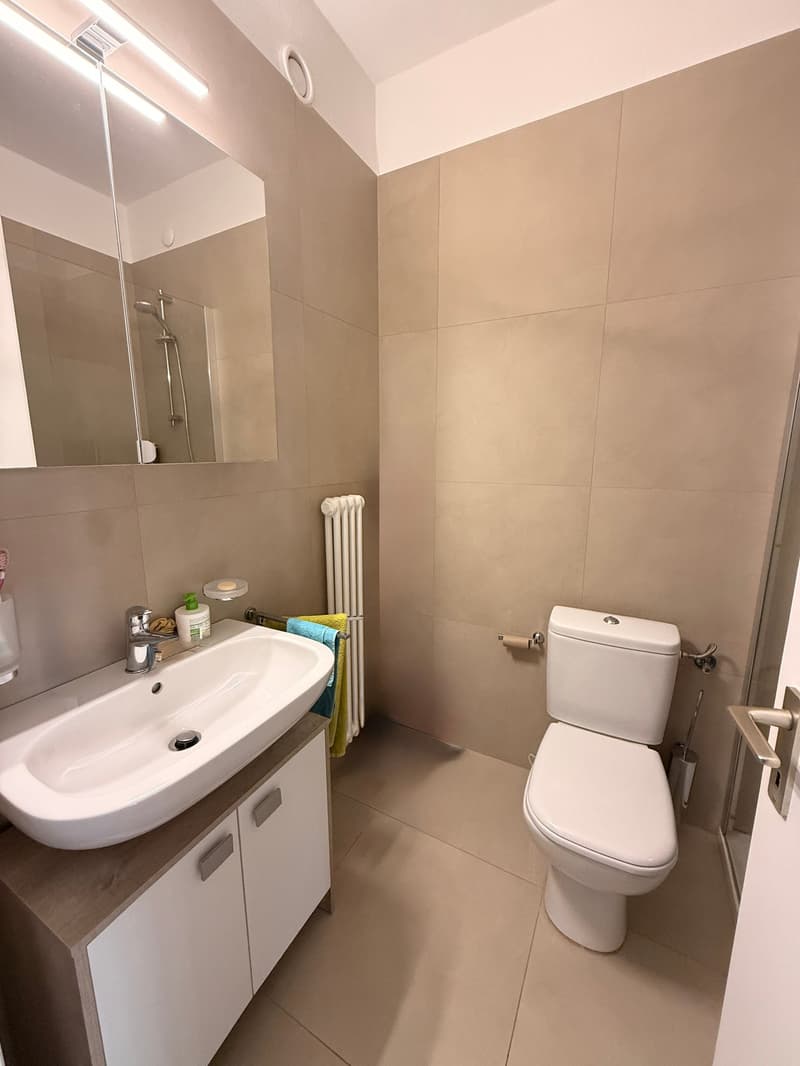 LUGANO - bright studio apartment for rent (5)