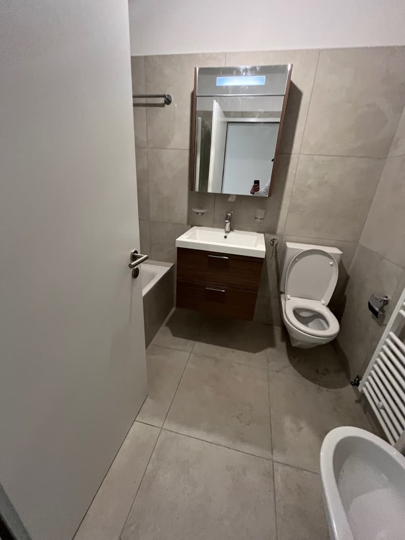 CADENAZZO - AFFITTASI AMPIO 4.5 LOCALI COMPLETAMENTE RISTRUTTURATO (9)