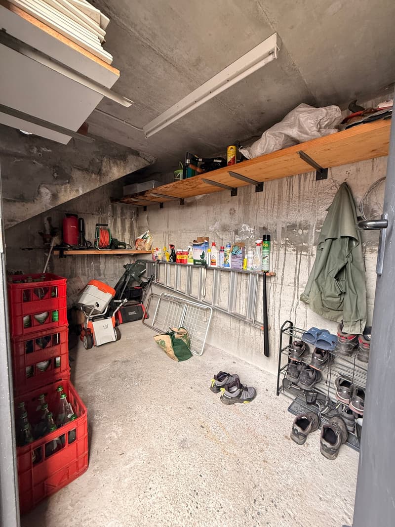 TESSERETE - MAISON UNIFAMILIALE AVEC VUE PANORAMIQUE À VENDRE (18)