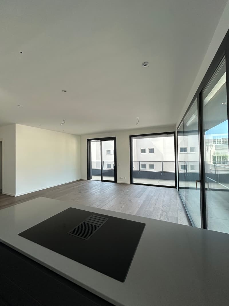 CANOBBIO - MODERN 2.5-ROOM APARTMENT FOR SALE (4)