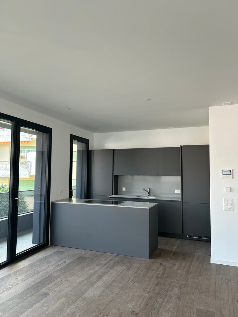 CANOBBIO - MODERN 2.5-ROOM APARTMENT FOR SALE (3)