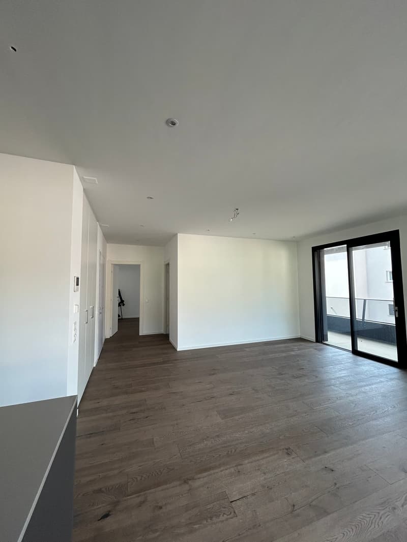 CANOBBIO - MODERN 2.5-ROOM APARTMENT FOR SALE (2)