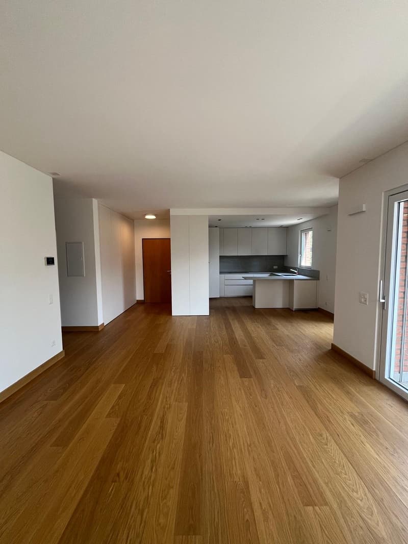 LUGANO - ZU VERMIETEN NEUE 4.5-ZIMMER-WOHNUNG (2)