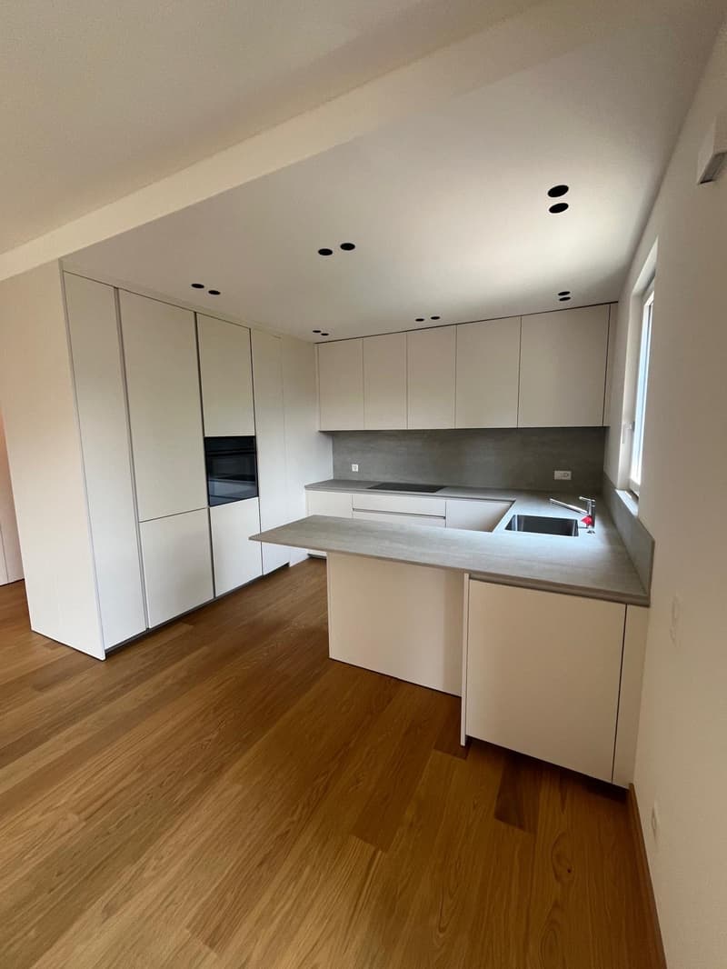 LUGANO - ZU VERMIETEN NEUE 4.5-ZIMMER-WOHNUNG (3)
