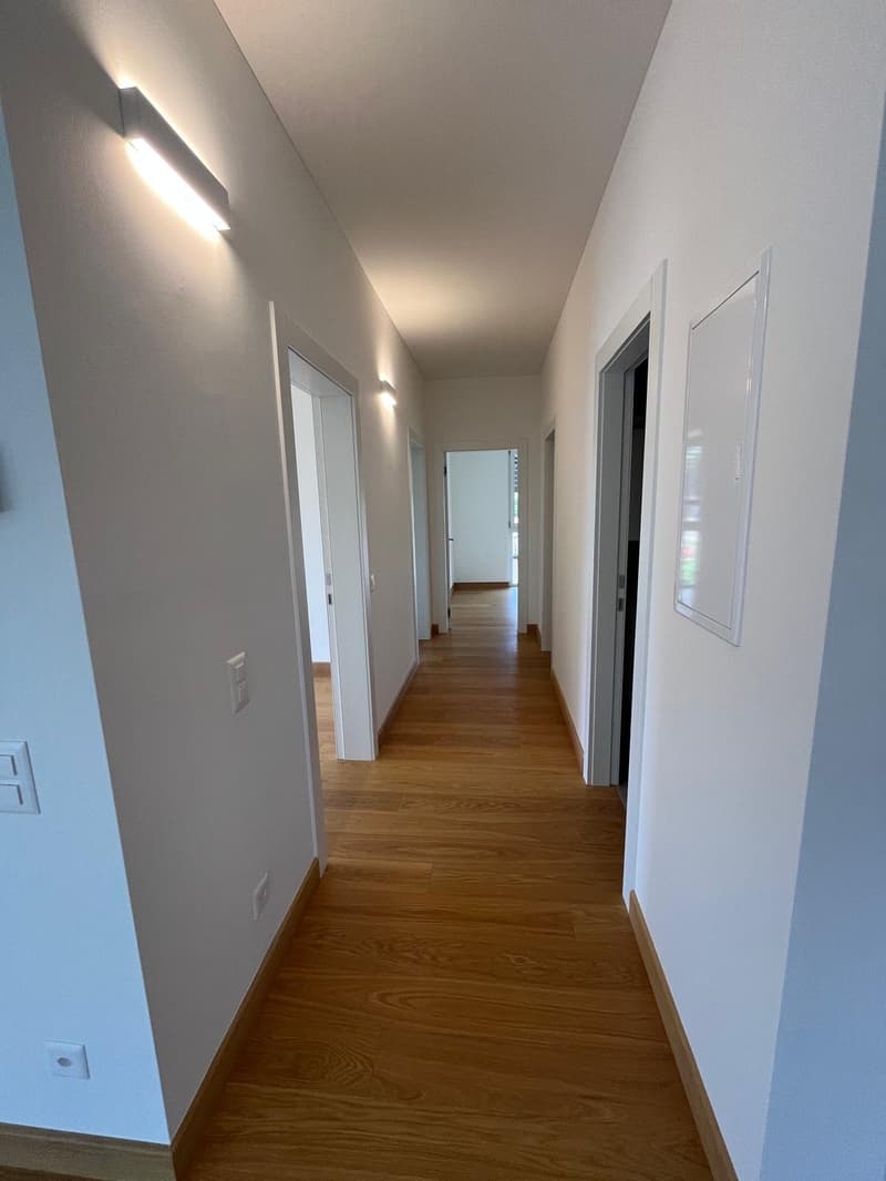 LUGANO - ZU VERMIETEN NEUE 4.5-ZIMMER-WOHNUNG (7)
