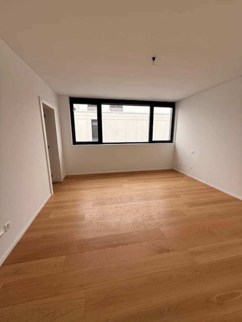 MASSAGNO - bright attic for sale (12)