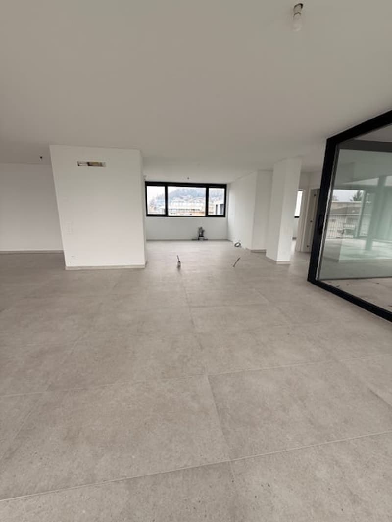 MASSAGNO - bright attic for sale (3)