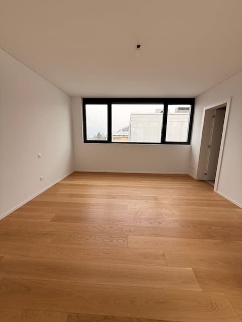 MASSAGNO - bright attic for sale (8)