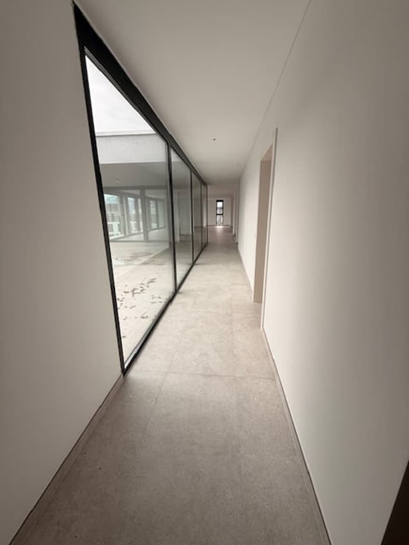 MASSAGNO - bright attic for sale (7)