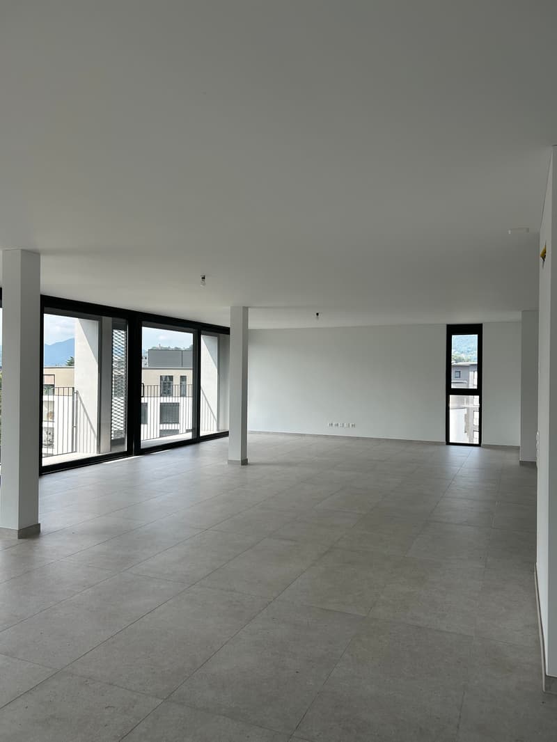 MASSAGNO - VENDESI LUMINOSO ATTICO DI 7 LOCALI (3)