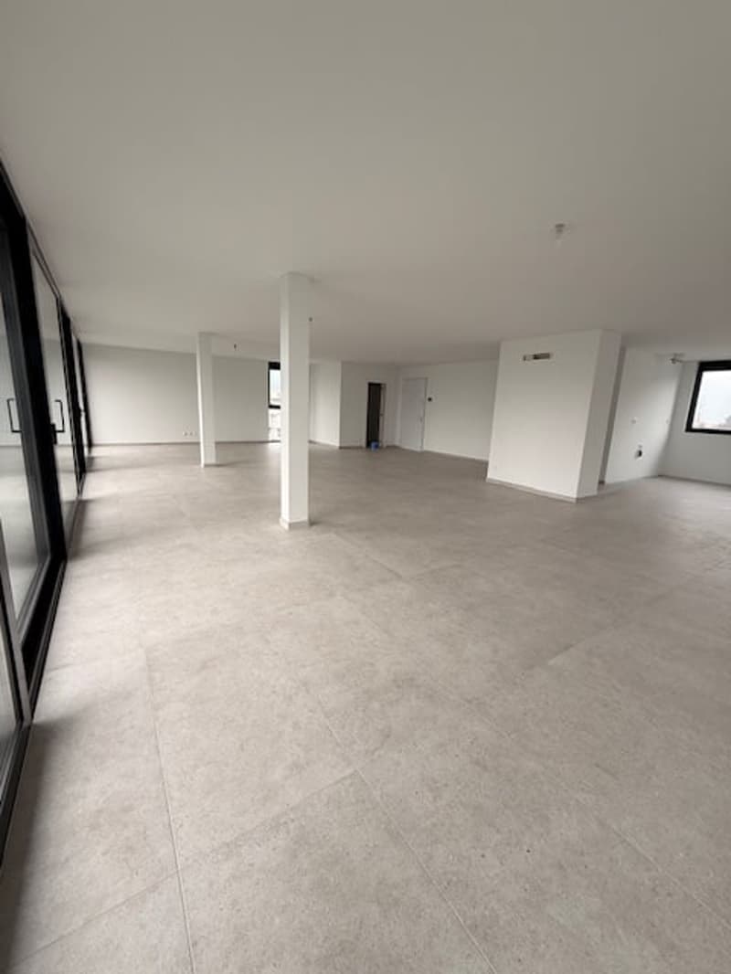 MASSAGNO - bright attic for sale (2)