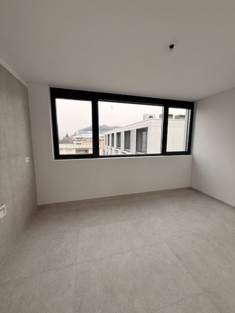 MASSAGNO - bright attic for sale (6)