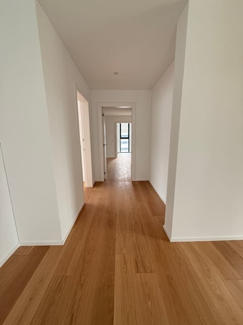 MASSAGNO - bright attic for sale (9)