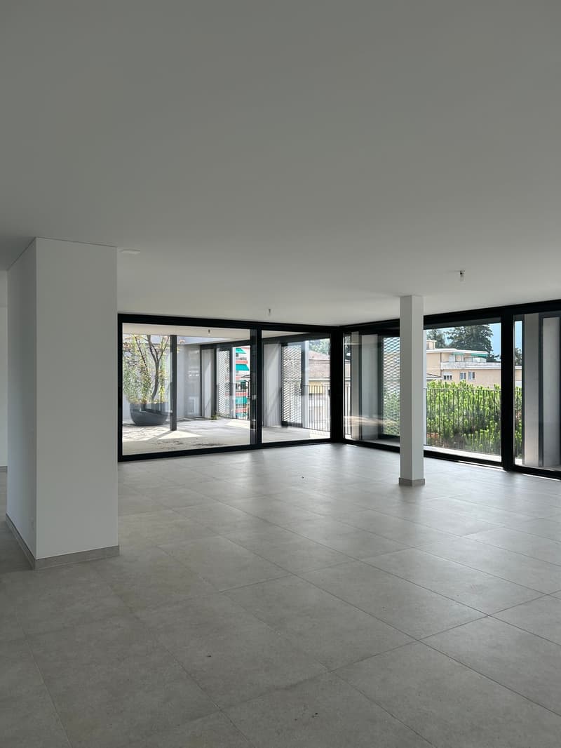 MASSAGNO - bright attic for rent (2)
