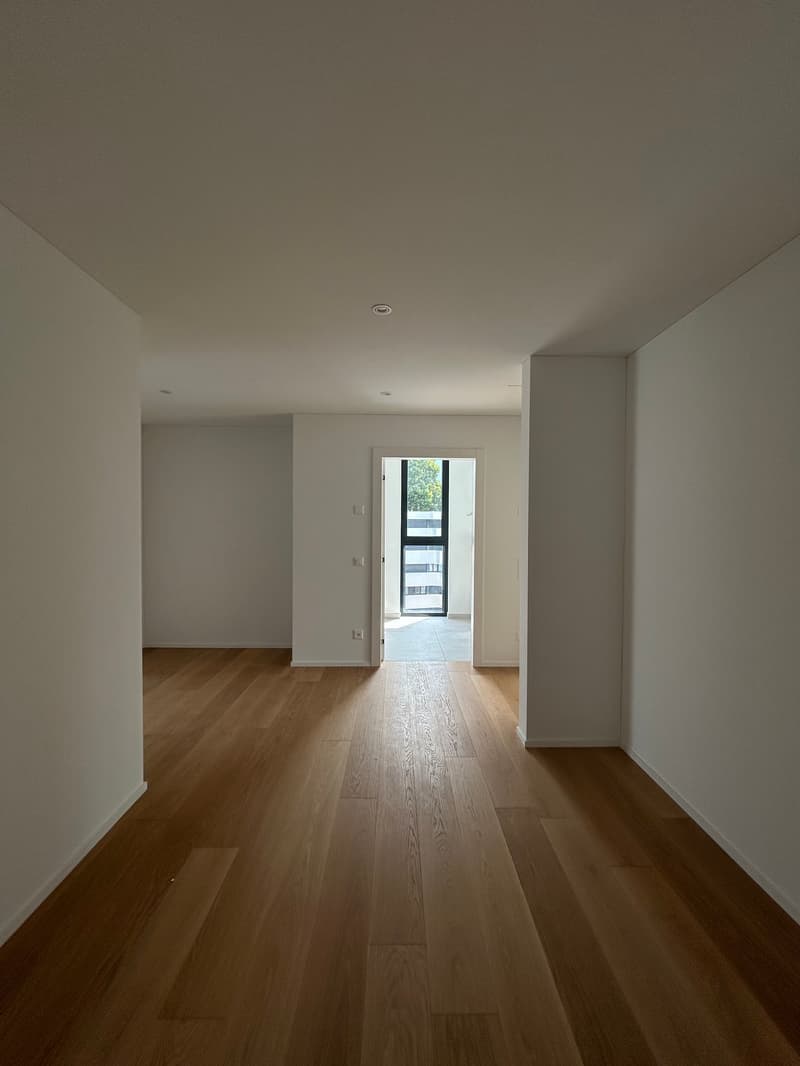 MASSAGNO - bright attic for rent (13)