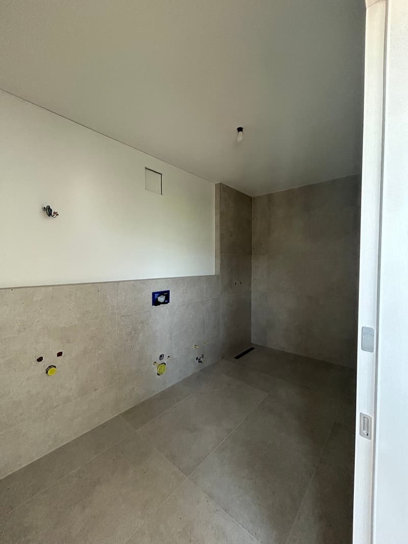 MASSAGNO - bright attic for rent (8)