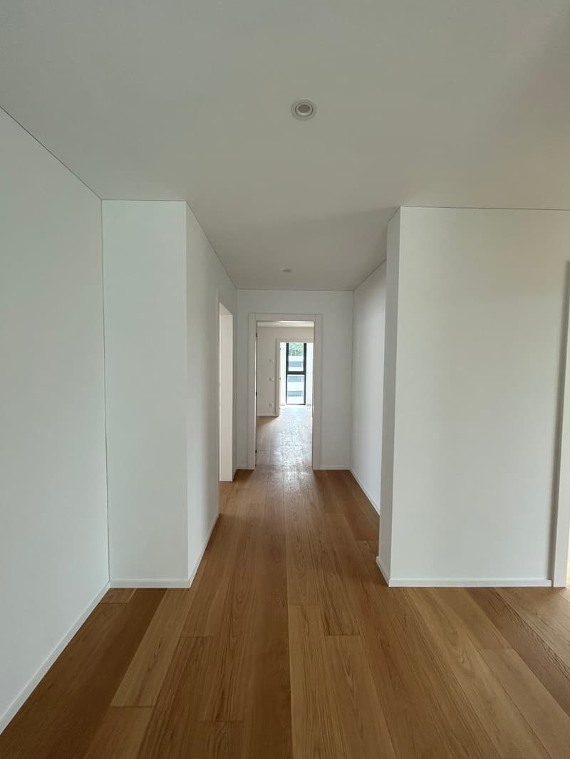 MASSAGNO - bright attic for rent (9)